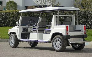 affordable golf cart rental, golf cart rent coral springs, cart rental coral springs