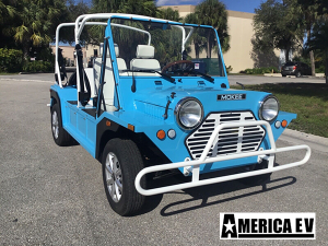 affordable golf cart rental, golf cart rent coral springs, cart rental coral springs