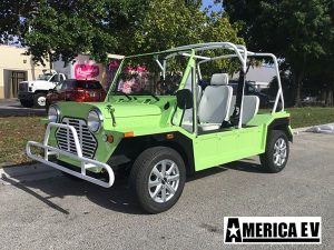 affordable golf cart rental, golf cart rent coral springs, cart rental coral springs