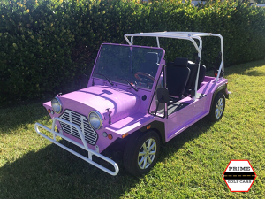 affordable golf cart rental, golf cart rent coral springs, cart rental coral springs