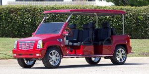 affordable golf cart rental, golf cart rent coral springs, cart rental coral springs