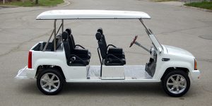 affordable golf cart rental, golf cart rent coral springs, cart rental coral springs