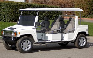 affordable golf cart rental, golf cart rent coral springs, cart rental coral springs